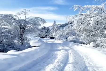 ������ʲô���ֺ�