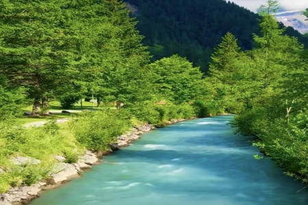 生辰八字如何取名