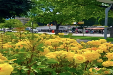 2026年3月25日出生的男孩女孩起名字推荐