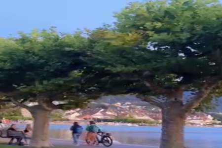 今年生的小孩起名