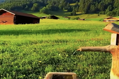 ������������ȡ��