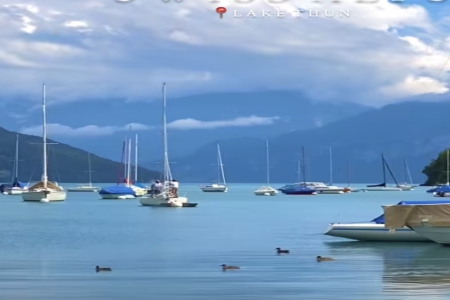 10000������������ȫ