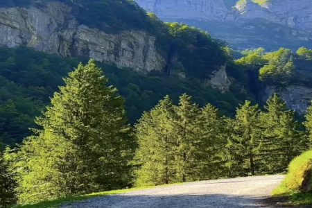 2026��4��1�ճ������к�Ů���������Ƽ�