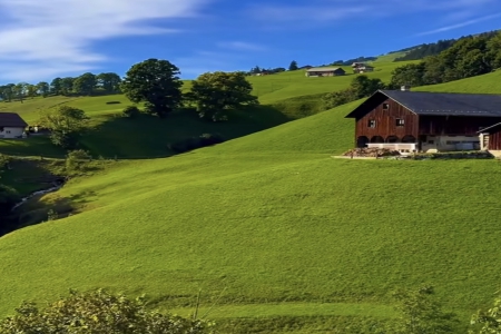 2026��4��2�ճ������к�Ů���������Ƽ�