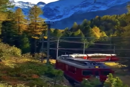 2026��4��3�ճ������к�Ů���������Ƽ�