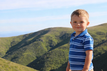 2026��4�³�������������ȫ