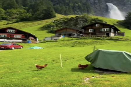 2026年2月4日出生的男孩女孩起名字推荐