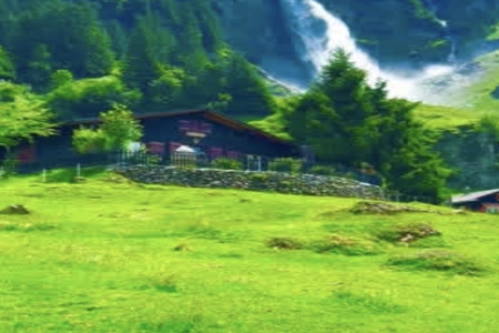 2026��2��5�ճ������к�Ů���������Ƽ�