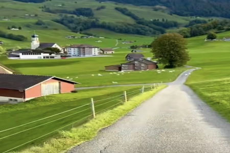 2026��2��7�ճ������к�Ů���������Ƽ�