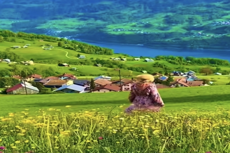 2026�������𱦱������Ƽ�