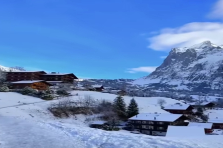 2026��2��16�ճ������к�Ů���������Ƽ�