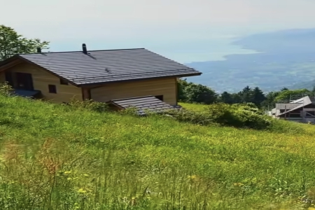 2026���������������Ƽ�