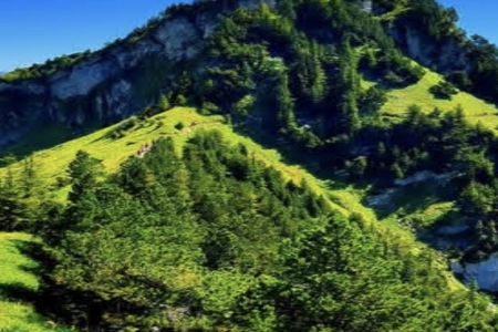 2026��2��18�ճ������к�Ů���������Ƽ�