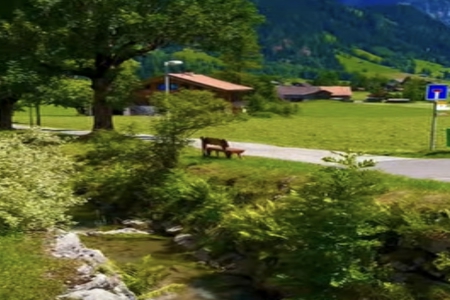 2026���걦����������