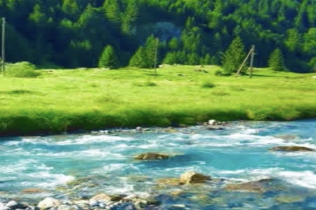 ���걦������100�����ִ�ȫ