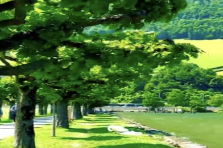 2026�����ͷ���������Ƽ�