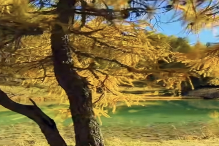 ���걦���������