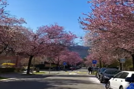 2026��2��28�ճ������к�Ů���������Ƽ�