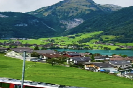 ���걦������ע������