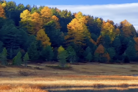 2026��3��4�ճ������к�Ů���������Ƽ�