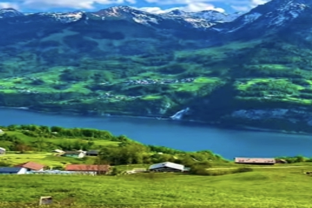 2026Ů��������С����ȫ