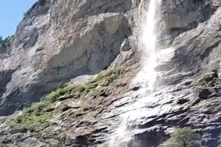 ���ȡ���ִ�ȫ��Ѳ�ѯ2026