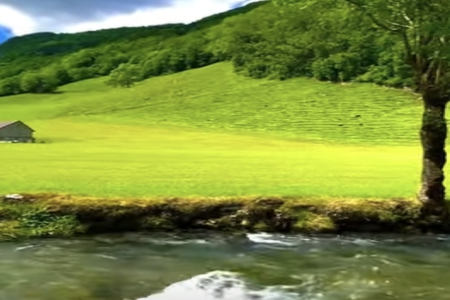 2026�����ߣ�����ˮ�����������Ƽ�