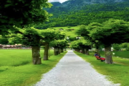 2026��3��12�ճ������к�Ů���������Ƽ�