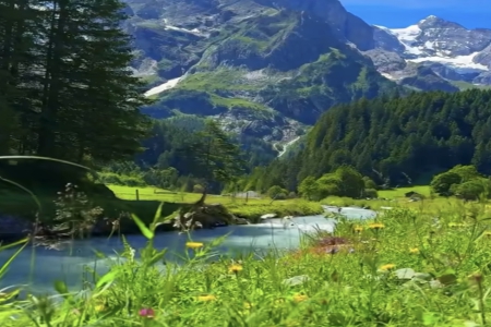 2026年3月15日出生的男孩女孩起名字推荐