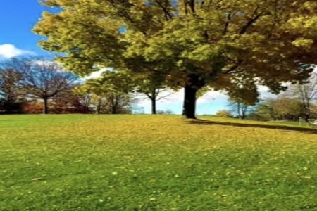 2026马年宝宝起名技巧与宜忌