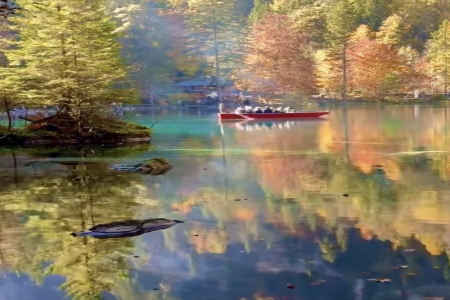 2026��1��31�ճ������к�Ů���������Ƽ�